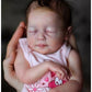 Tasha Reborn Doll Kit By Jessica Schenk